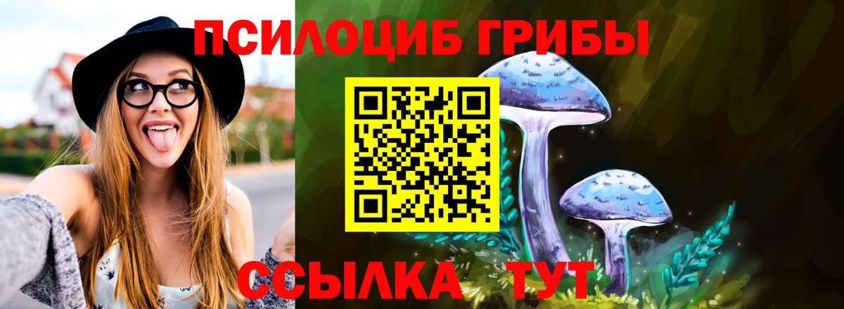 Стрежевой  Псилоцибиновые грибы Psilocybine cubensis  Вход с VPN 