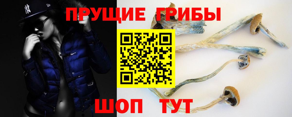 Псилоцибиновые грибы Cubensis Стрежевой